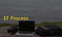 EF Process Manager(EF流程管理器)
